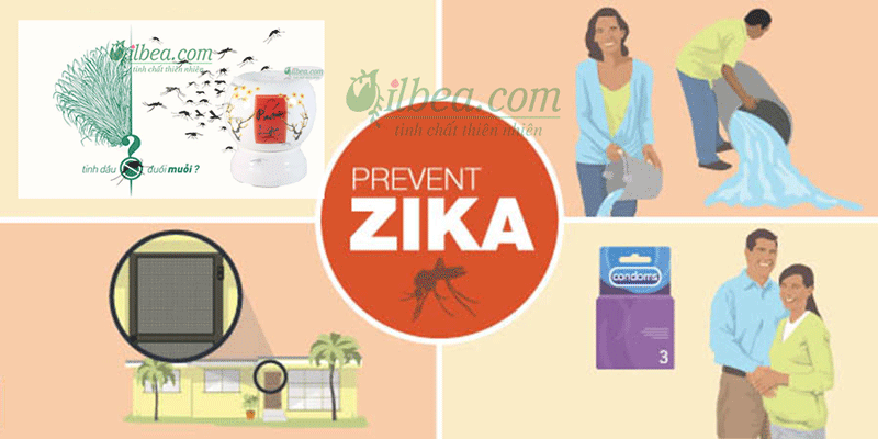 cách phòng bệnh virus zika