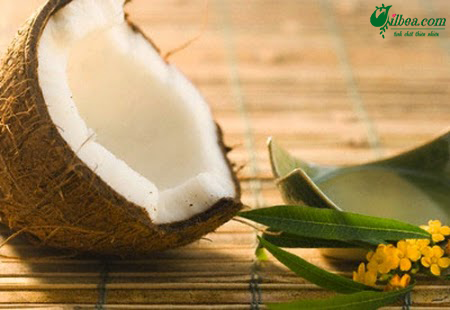 Mua dầu dừa nguyên chất ở đâu