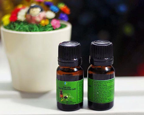 Những lợi ích mà tinh dầu bạc hà nguyên chất mang lại